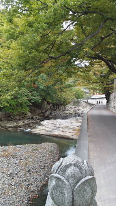20131019_113610_Richtone(HDR).jpg