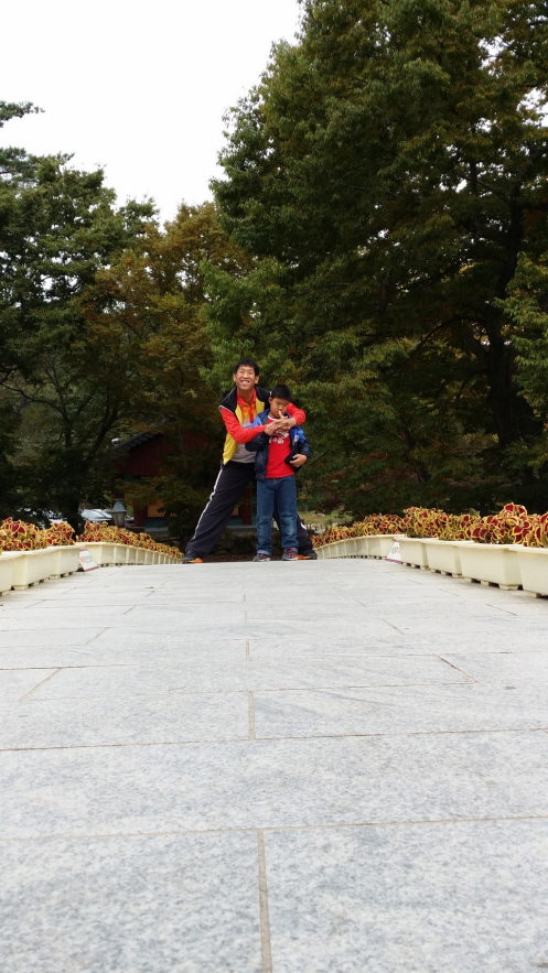 20131019_114753.jpg