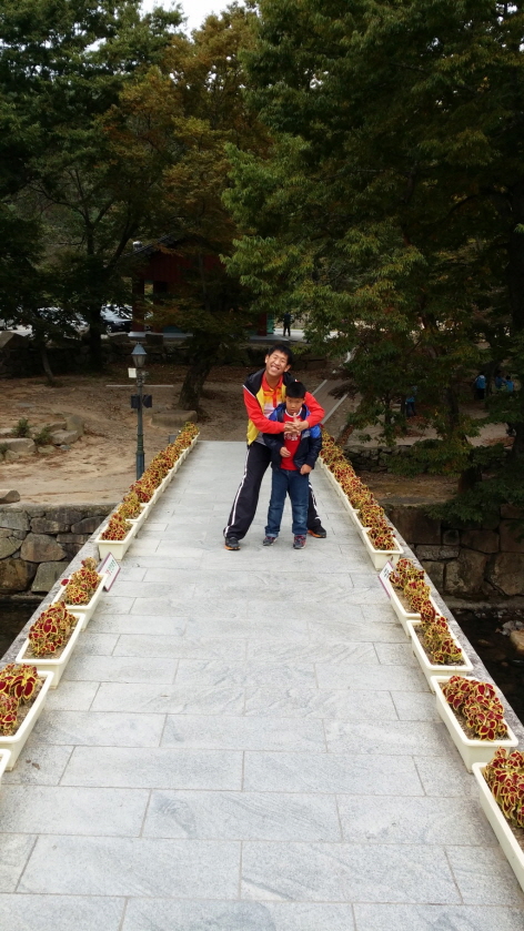 20131019_114801.jpg