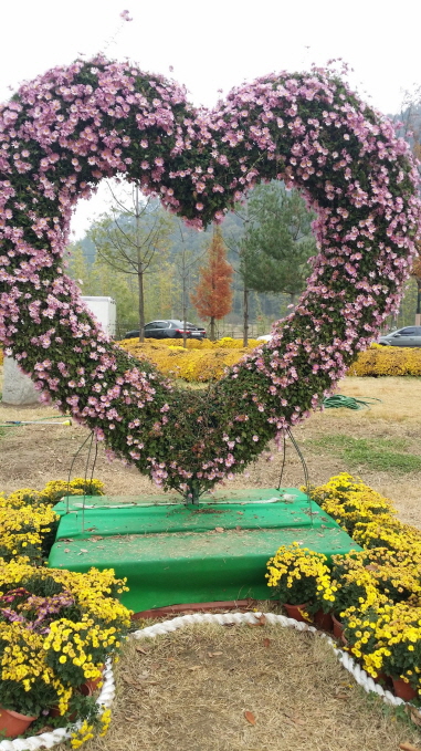 20141108_110221.jpg