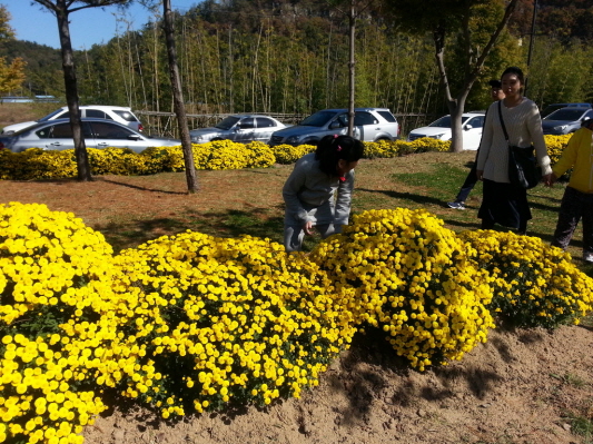 KakaoTalk_20160216_205605977.jpg