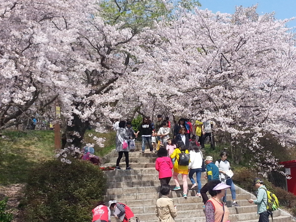 20170408_111444.jpg